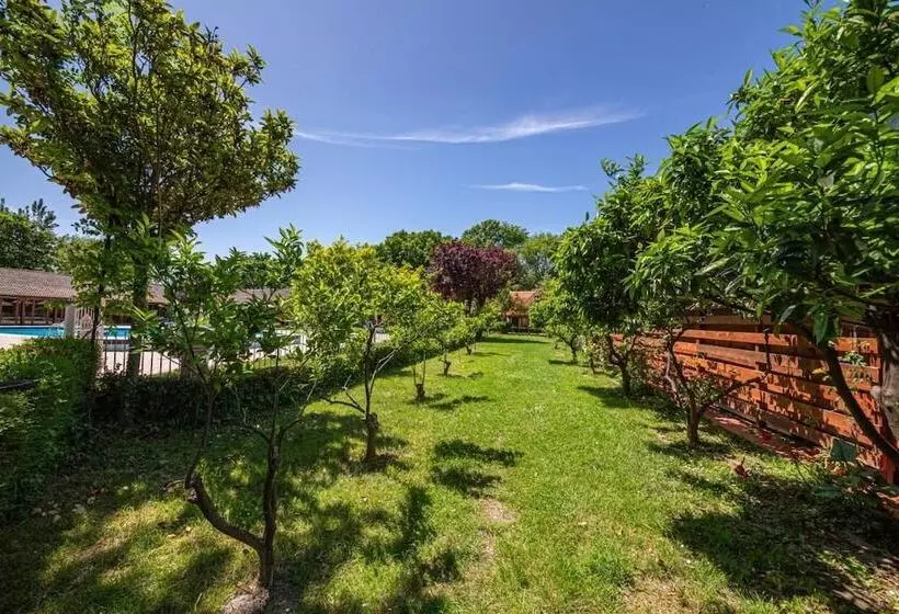 هتل Sebastiano Resort