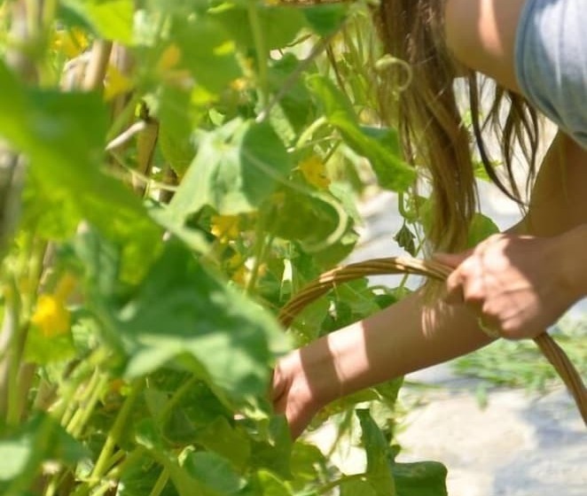 ホテル Sebastiano Resort