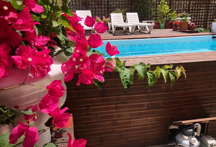 Sunrise Hotel Cameria