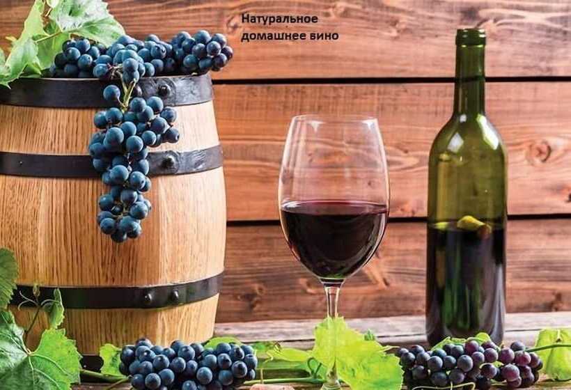 استراحتگاه Mini Hotel On Guramishvili 22