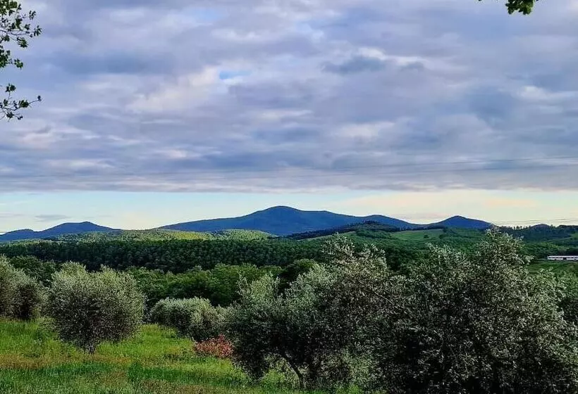 田舎風ホテル Poggio La Buca   Agriturismo