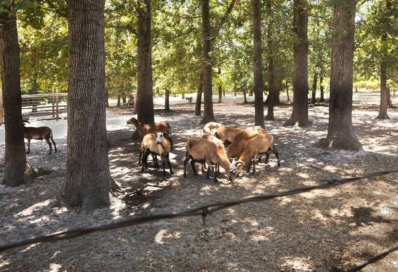 Secluded Rural Home In Normangee!