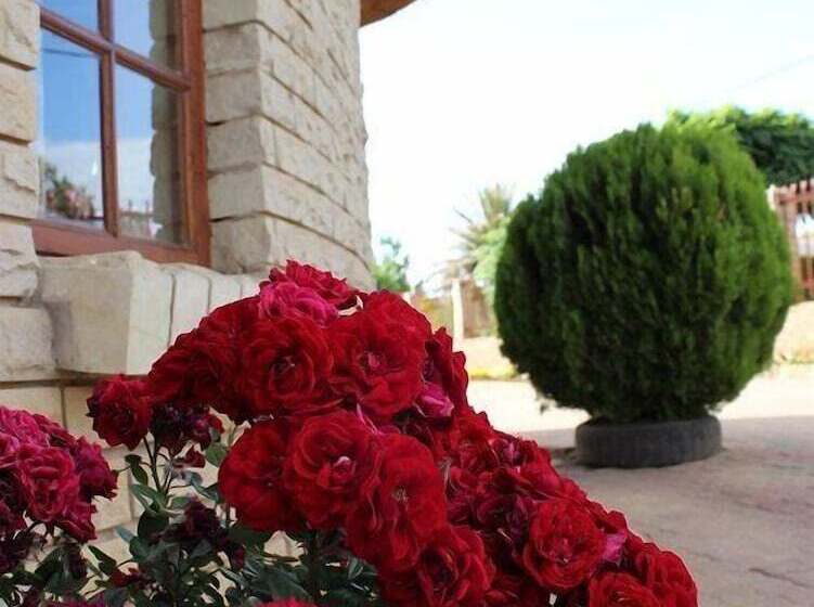 هاستل Motlejoa Guest House