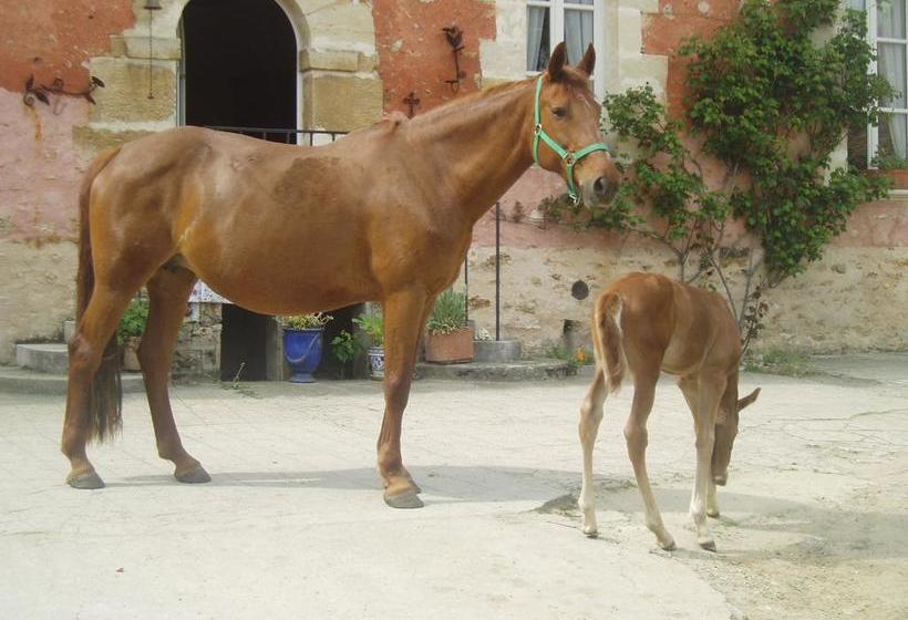 مبيت وإفطار La Ferme Rose