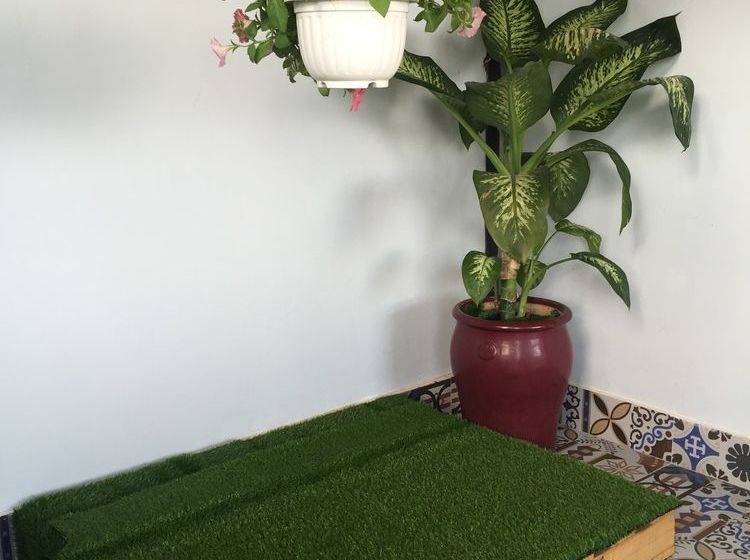 Da Lach Foodie Hostel