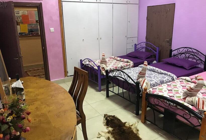 هتل Alamer Hostel 2