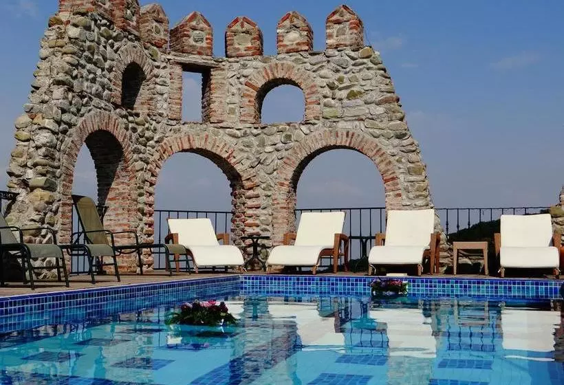 هتل Chateau Mere