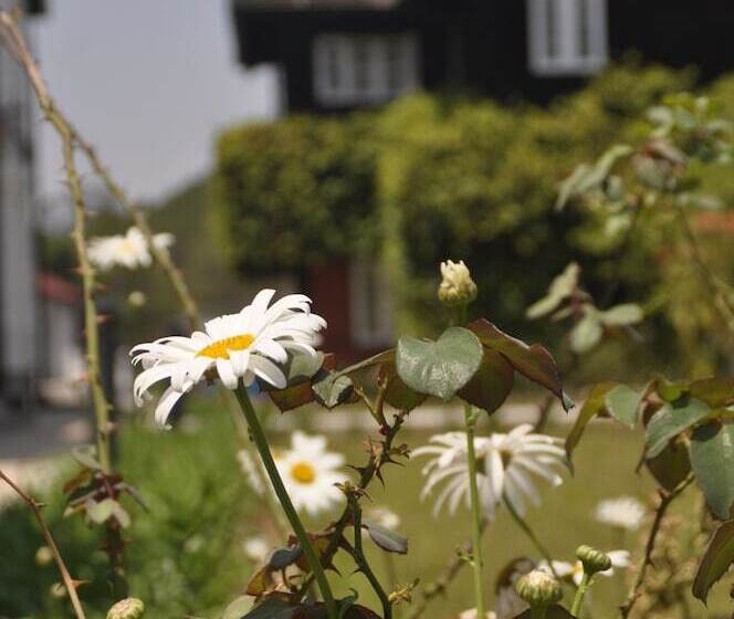 هتل Kalaw Heritage