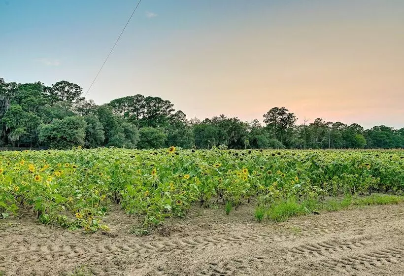 Expansive Georgetown Home W/ Decks & Fire Pit!