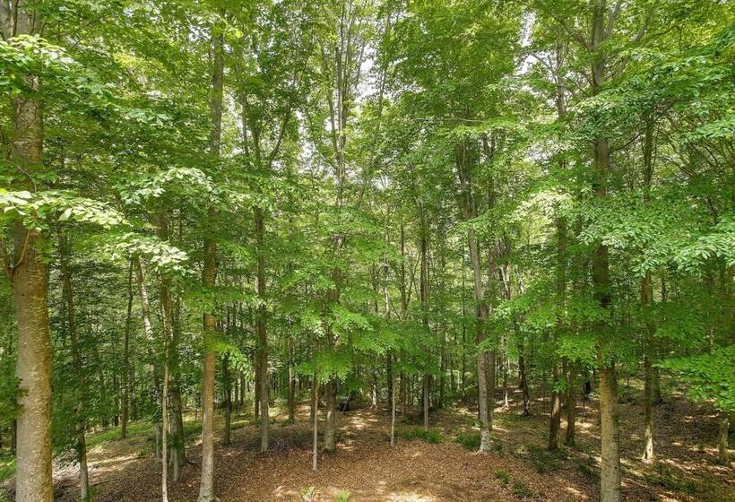 Pet Friendly Byrdstown Cabin W/ Fire Pit & Porch!