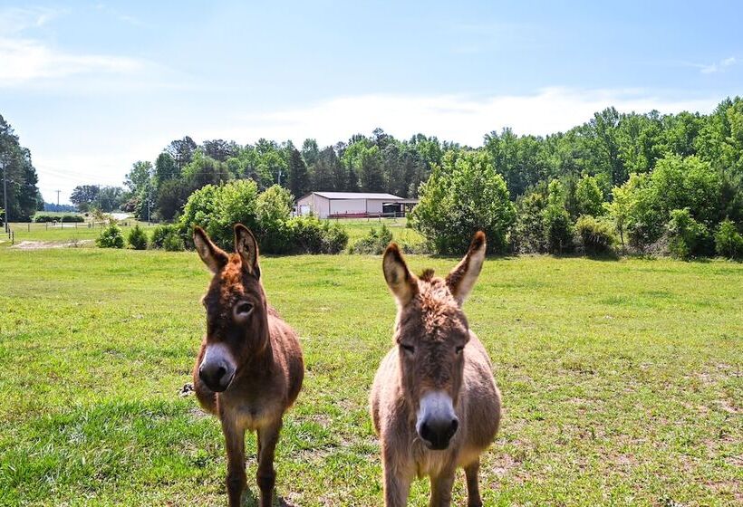 The Travis House At Lantern Springs On Farm!