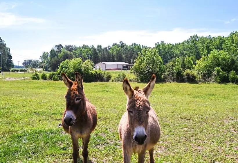 The Travis House At Lantern Springs  On Farm!