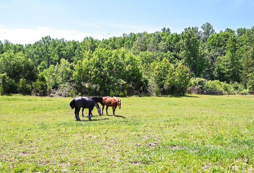 The Travis House At Lantern Springs On Farm!