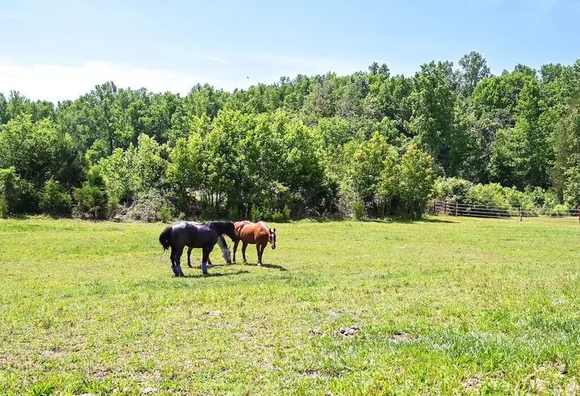 The Travis House At Lantern Springs  On Farm!