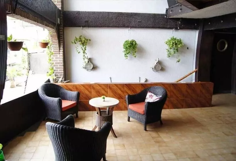 Cabo Tortuga Hotel Boutique