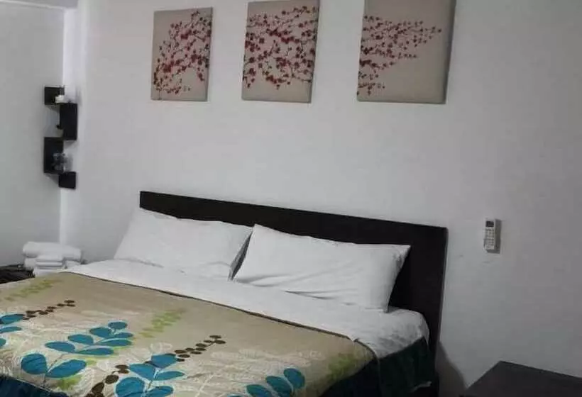 Cabo Tortuga Hotel Boutique