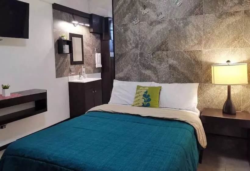 Cabo Tortuga Hotel Boutique