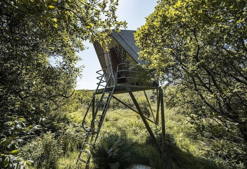 K4 Kudhva Treehouse Cabin With Sea View