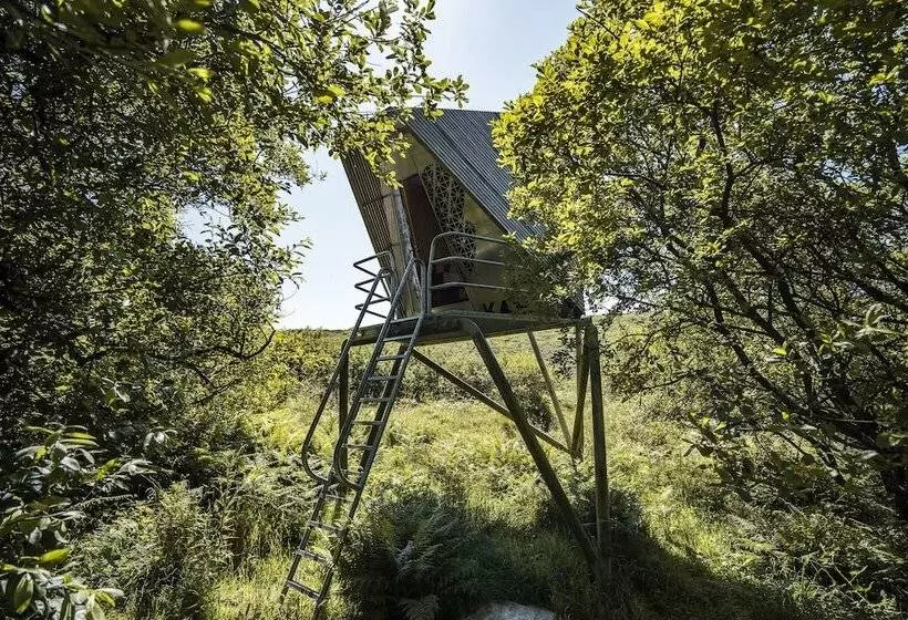 K4 Kudhva Treehouse Cabin With Sea View