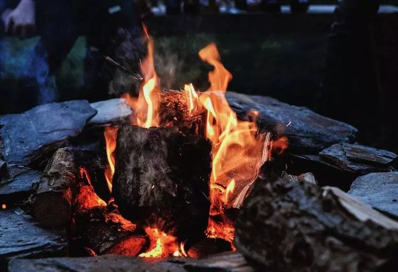 K4 Kudhva Treehouse Cabin With Sea View