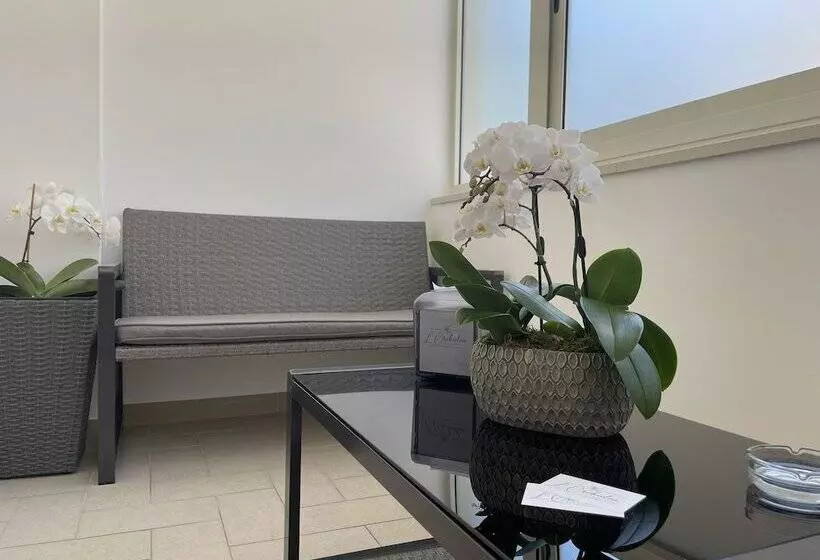 B&b L Orchidea