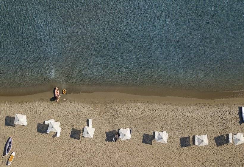 Отель Acantha Boutique