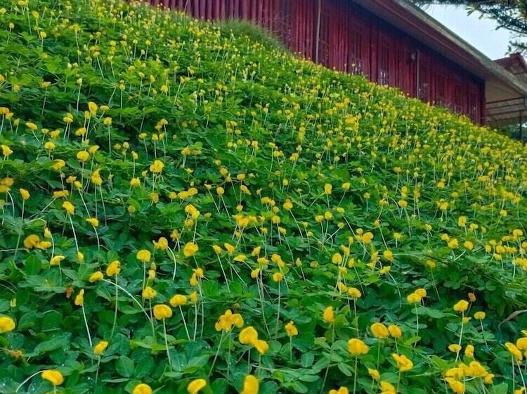 호텔 Nan Aob Khao Resort