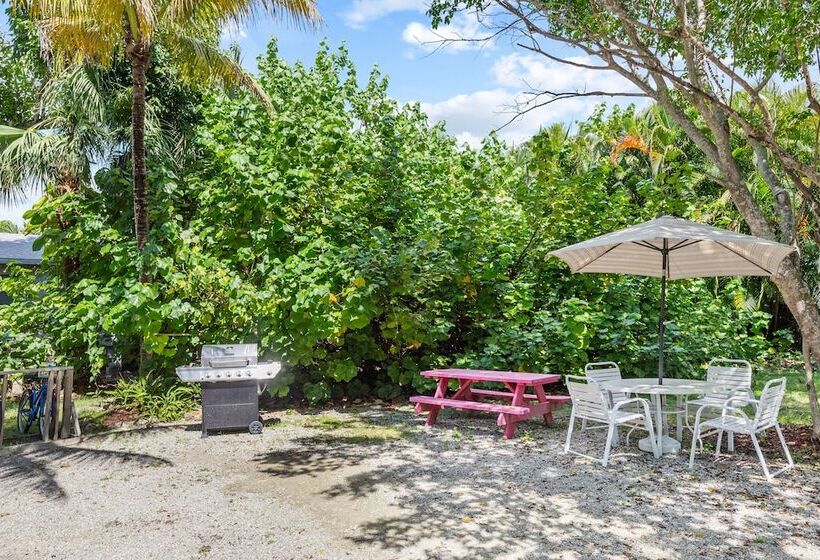 호텔 The Palmview And Sandpiper Inns