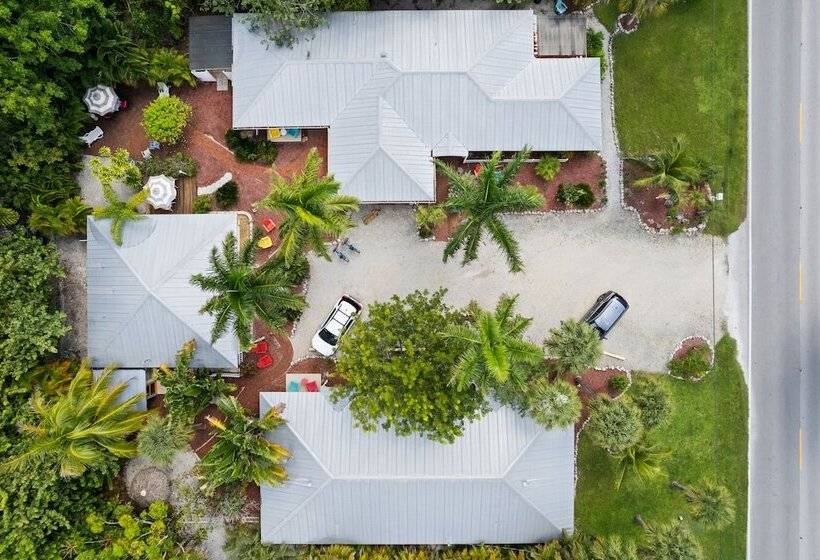 호텔 The Palmview And Sandpiper Inns