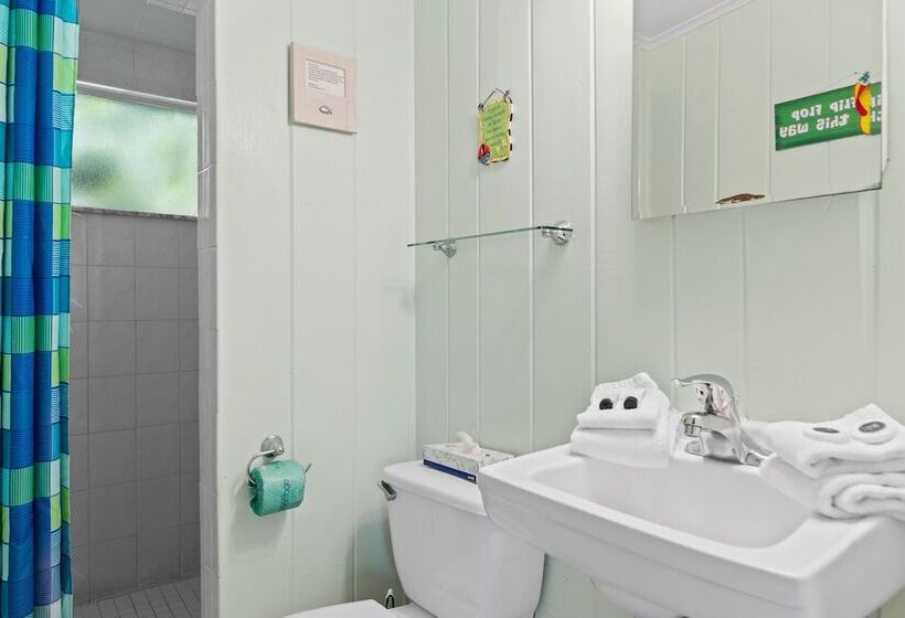 호텔 The Palmview And Sandpiper Inns