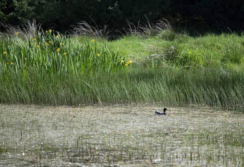 דירת נופש Charming 7 Bed Estate House Near Gleneagles