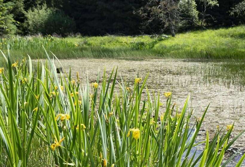 דירת נופש Charming 7 Bed Estate House Near Gleneagles