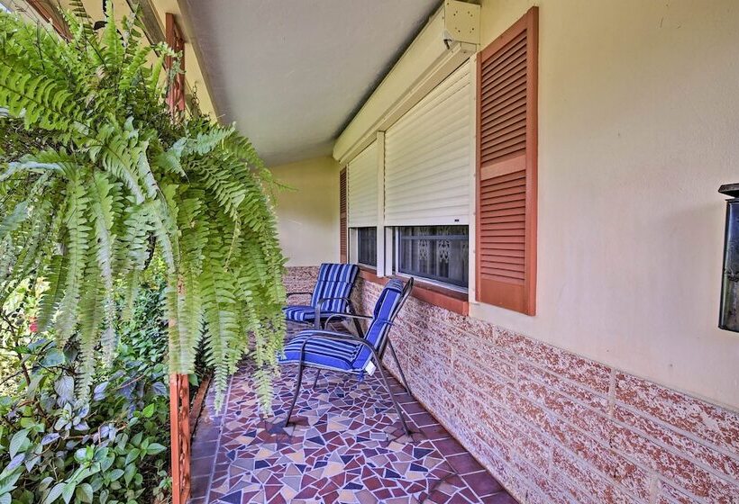 St. Petersburg Home W/ Tropical Yard & Pool!