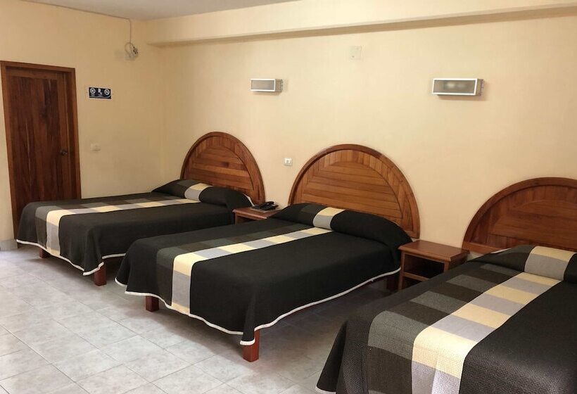 Отель Citlalli Xalapa Centro