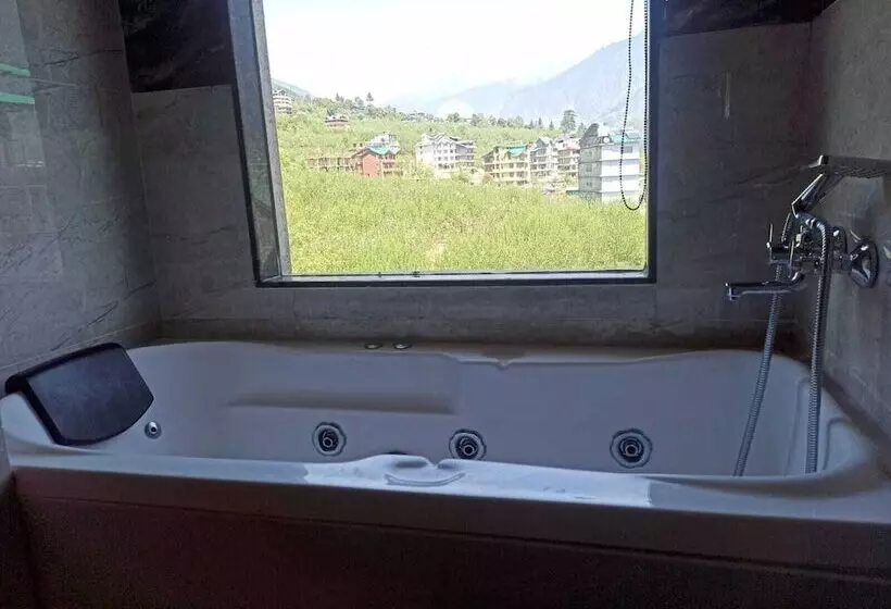 ホテル Misty Mountains Manali