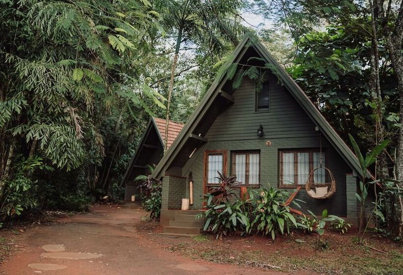 Отель Overo Lodge & Selva