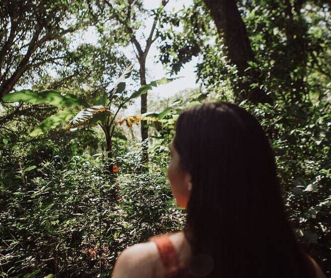 Отель Overo Lodge & Selva