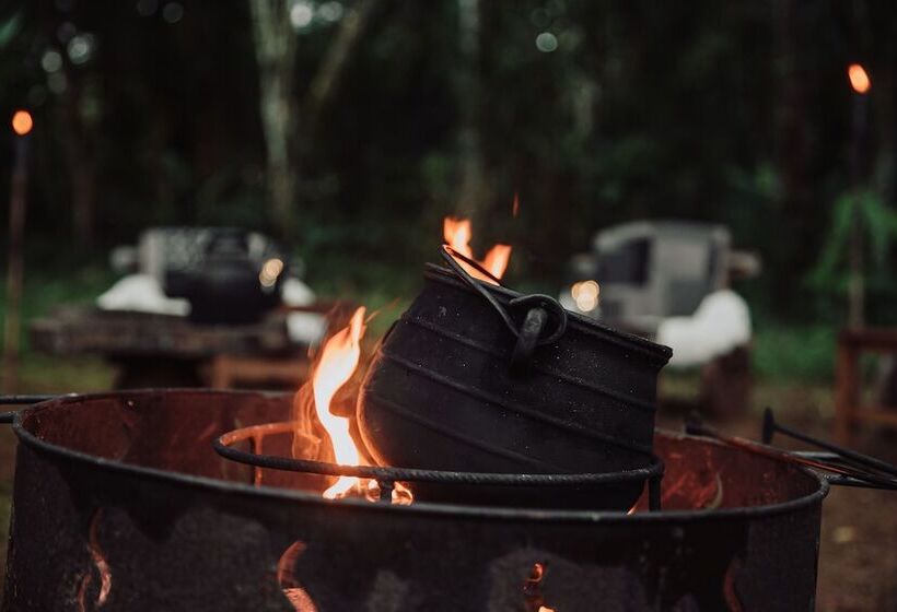 Отель Overo Lodge & Selva