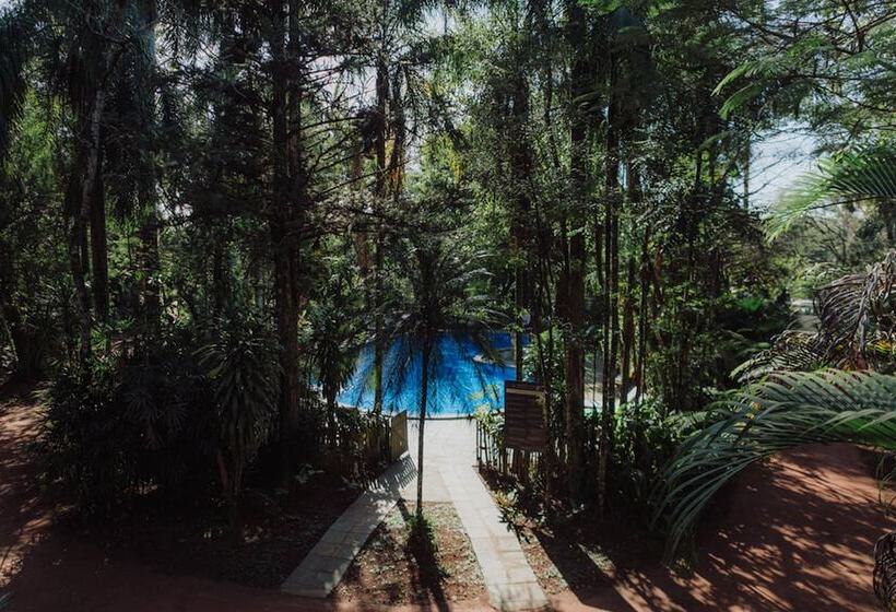 Отель Overo Lodge & Selva