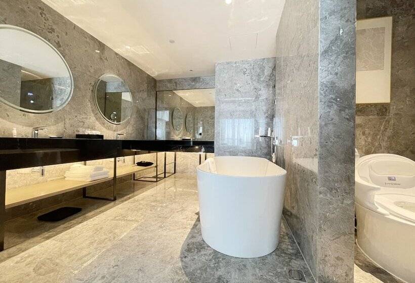 Отель White Swan Vyv