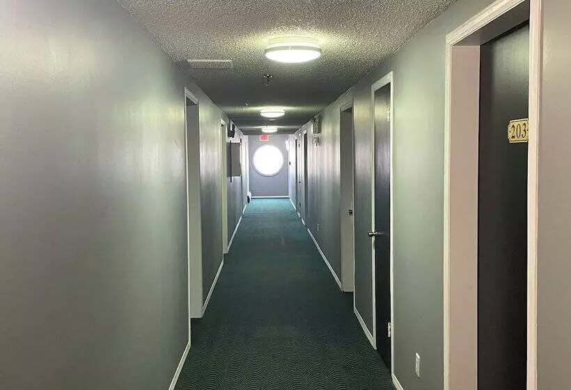 Motelli Grizzly Motor