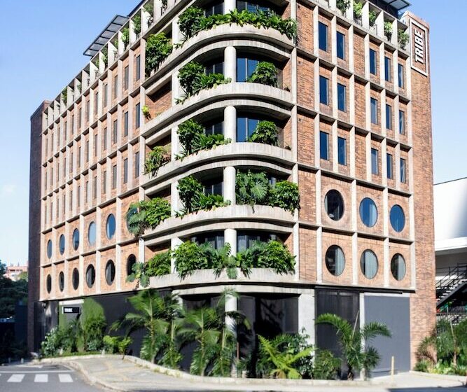 旅馆 Tribe Medellín
