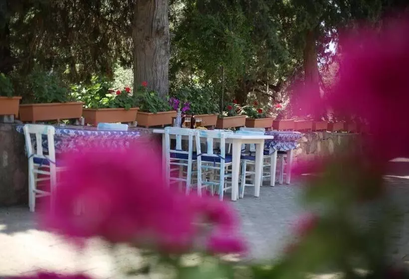 تختخواب و صبحانه Litri Butik Otel