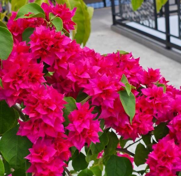 Отель Amandaya Canggu