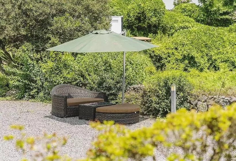 پانسیون Jeju Joyhouse