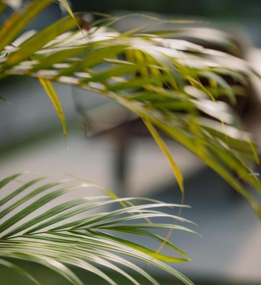 Пансион Sari Uma Canggu By Hospitality Bali