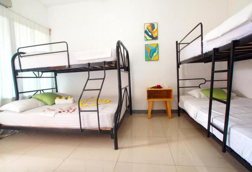 Terraza Catedral Hostel