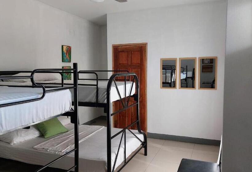 Terraza Catedral Hostel