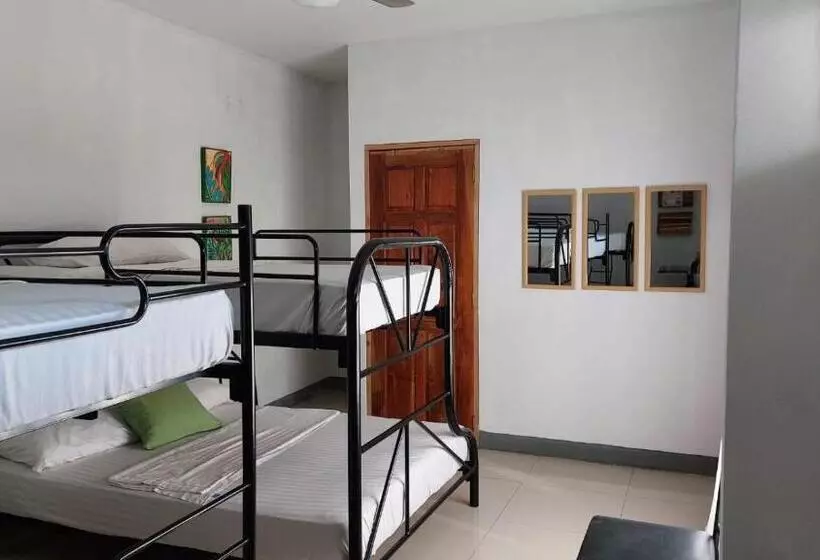 Terraza Catedral Hostel