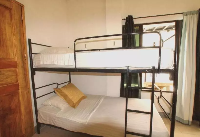 Terraza Catedral Hostel